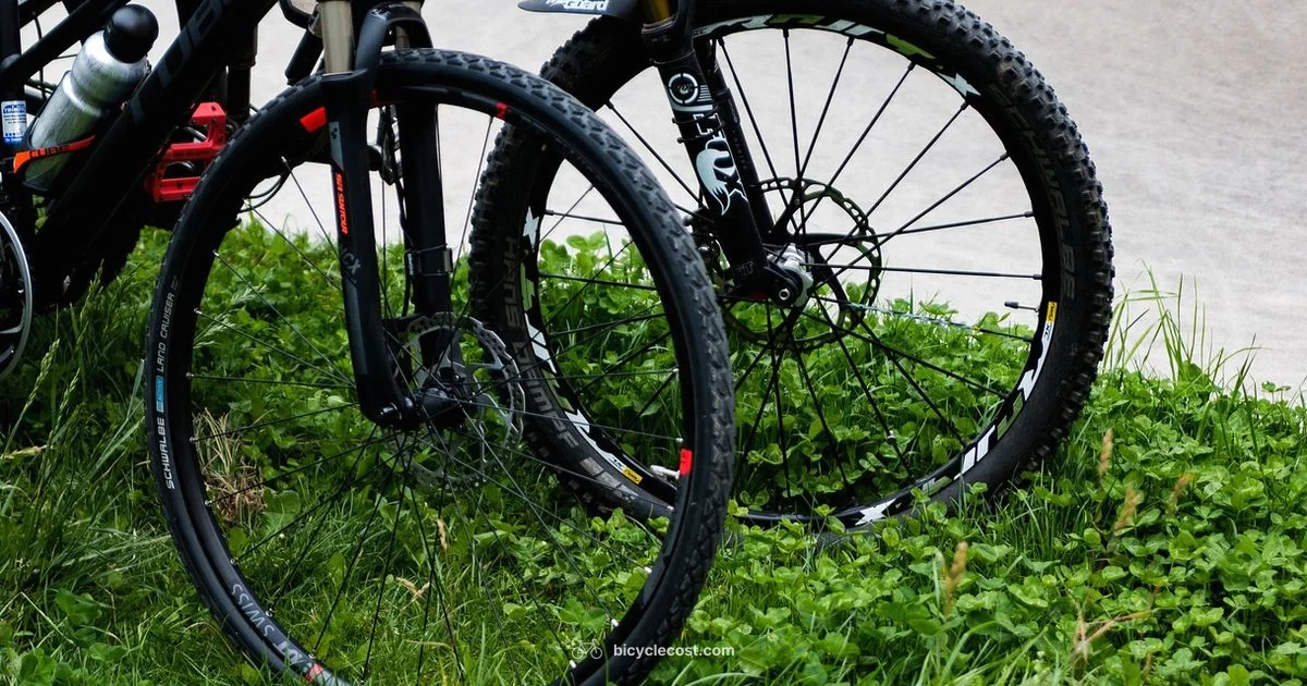 Bicycle Type Guide - BicycleCost