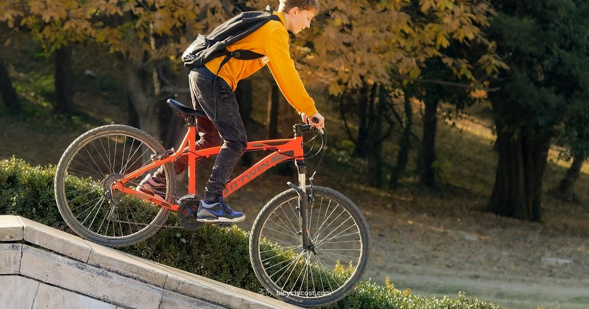 First Bicycle Guide First Bicycle Guide - BicycleCost