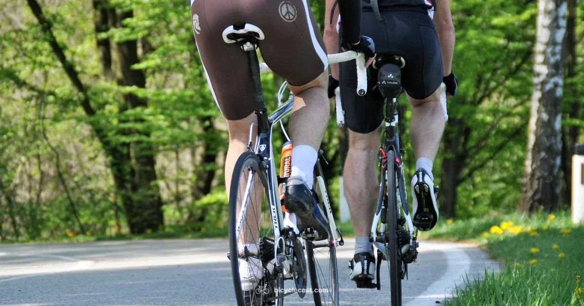 Puncture Prevention Guide - BicycleCost