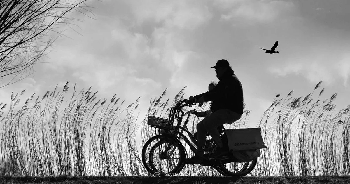 Bicycle Cycling Guide - BicycleCost