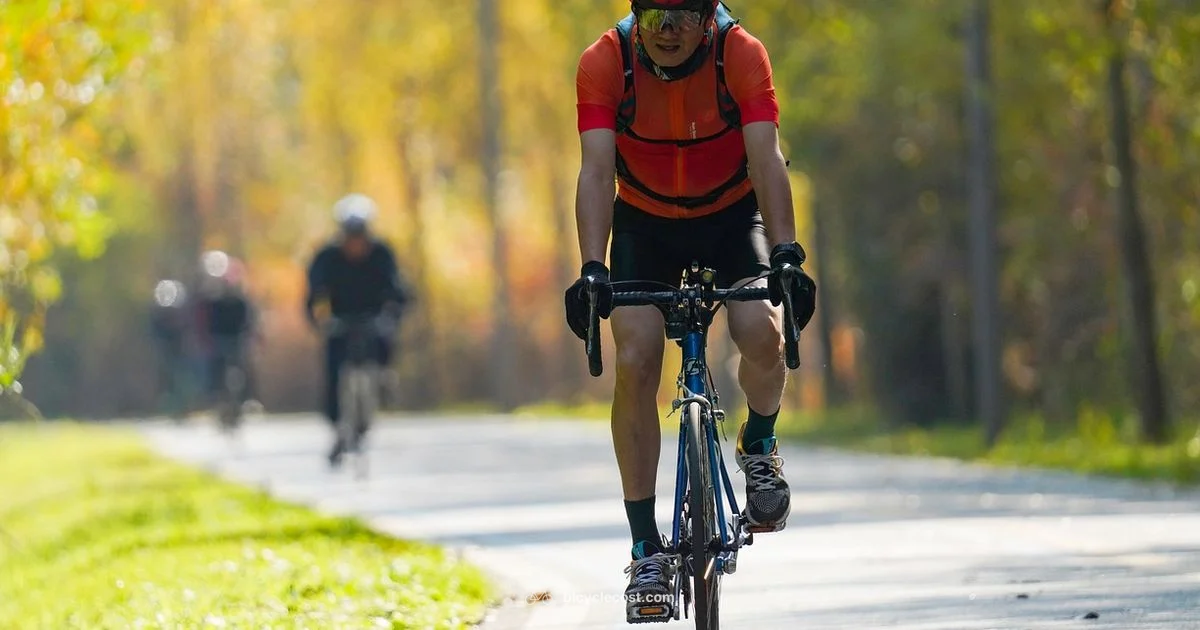 Smart Ride for Seniors - BicycleCost