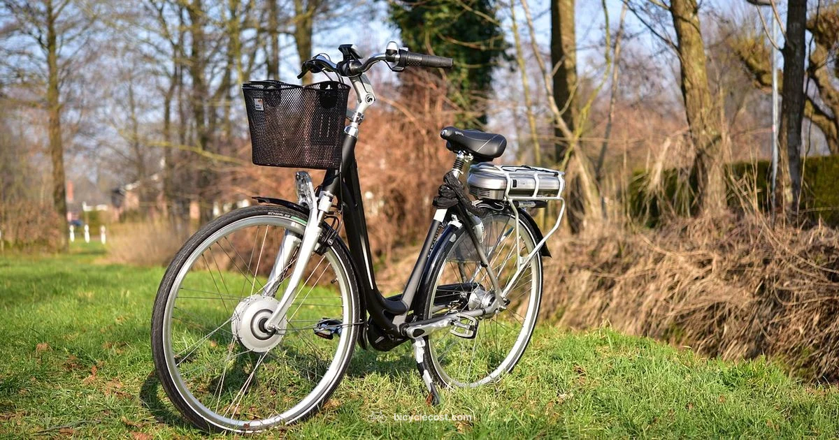Electric Bicycles - BicycleCost