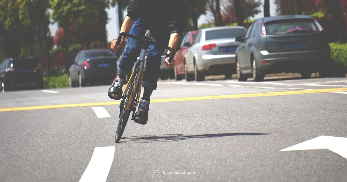 Fixie Frame Guide - BicycleCost