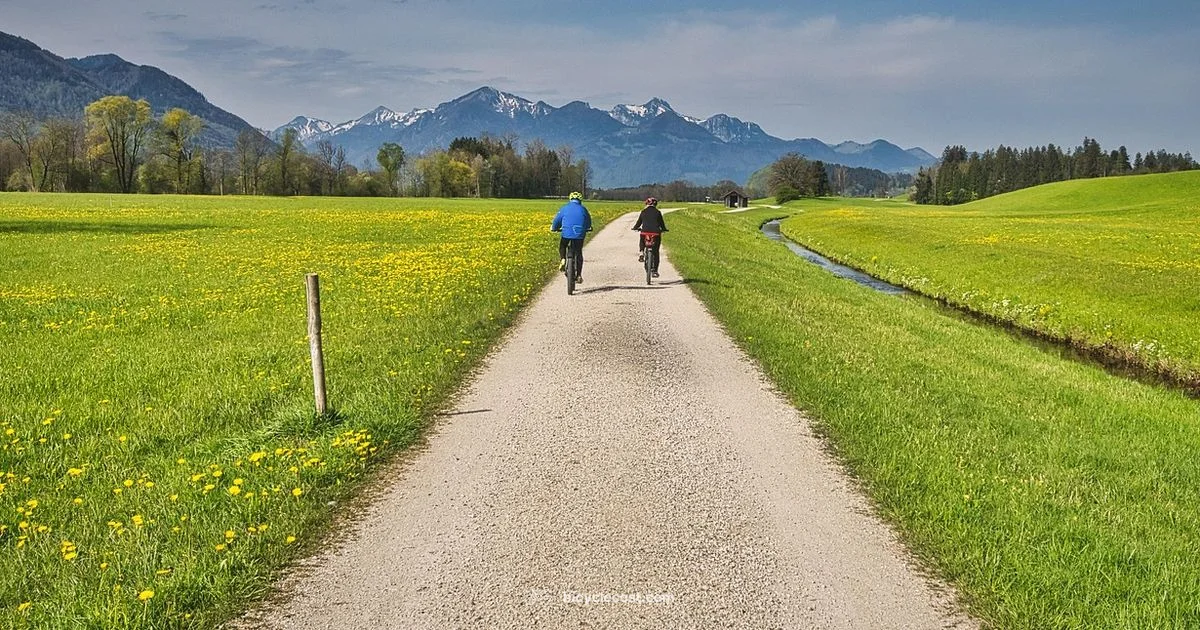 Hybrid Bike Guide - BicycleCost