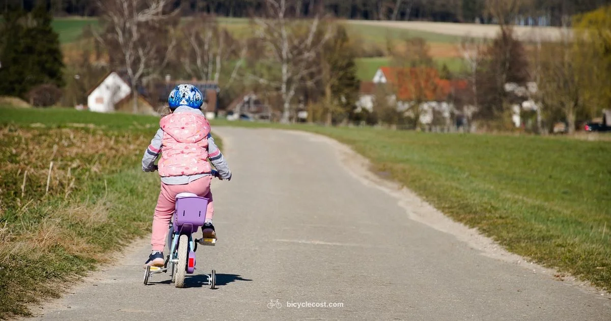 Road Helmet Guide - BicycleCost