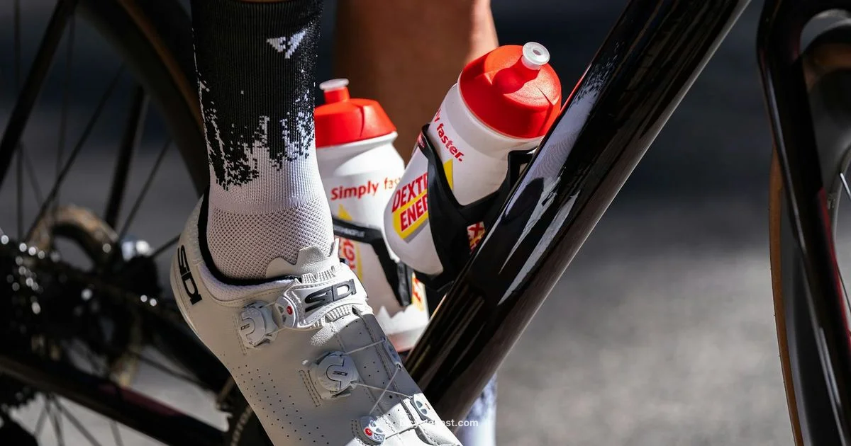 Water Bottle Carrier Water Bottle Carrier - BicycleCost