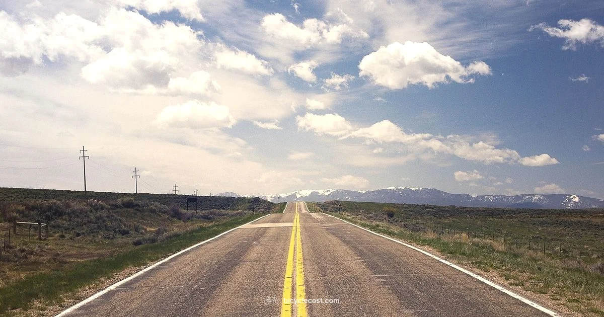 Mens Road Bike Guide - BicycleCost