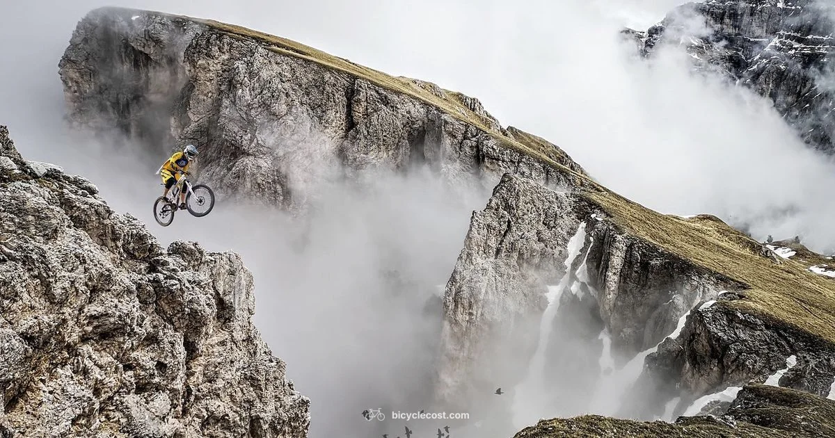 Men's Mountain Bike Guide - BicycleCost