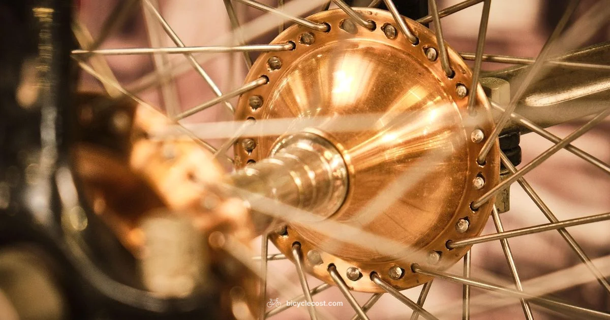 Dynamo Lights - BicycleCost