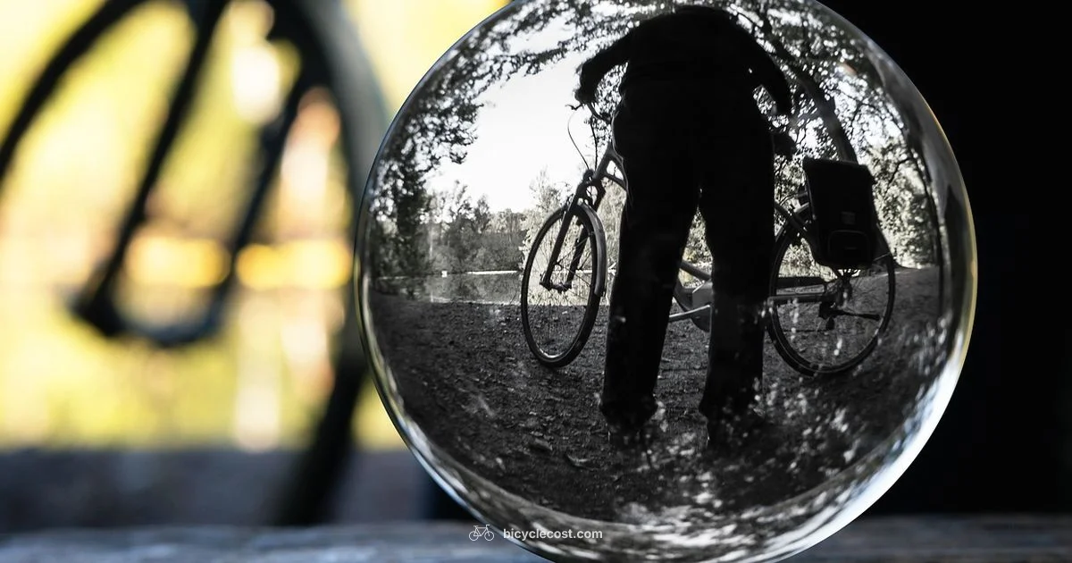 Origins of Bicycles - BicycleCost