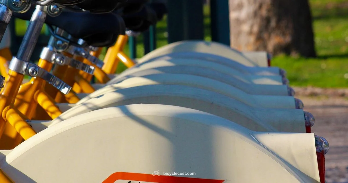 Bike as Expense - BicycleCost