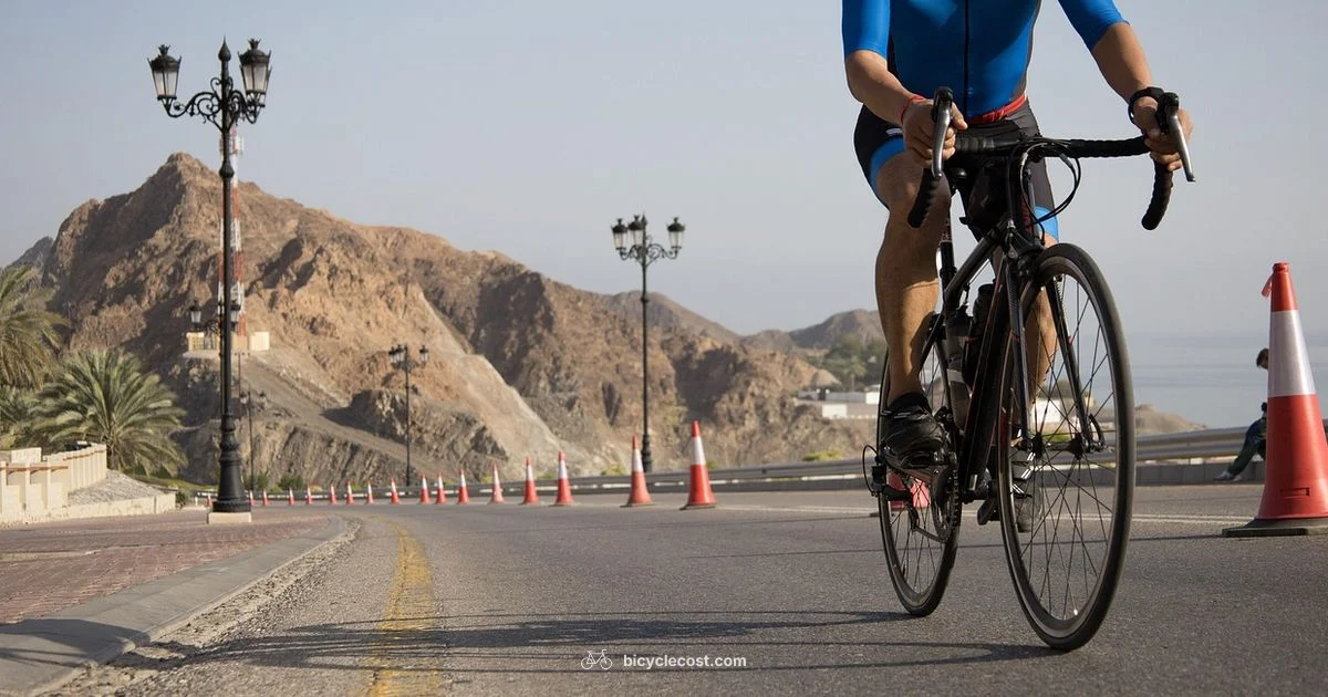 Cycle Length Fix - BicycleCost