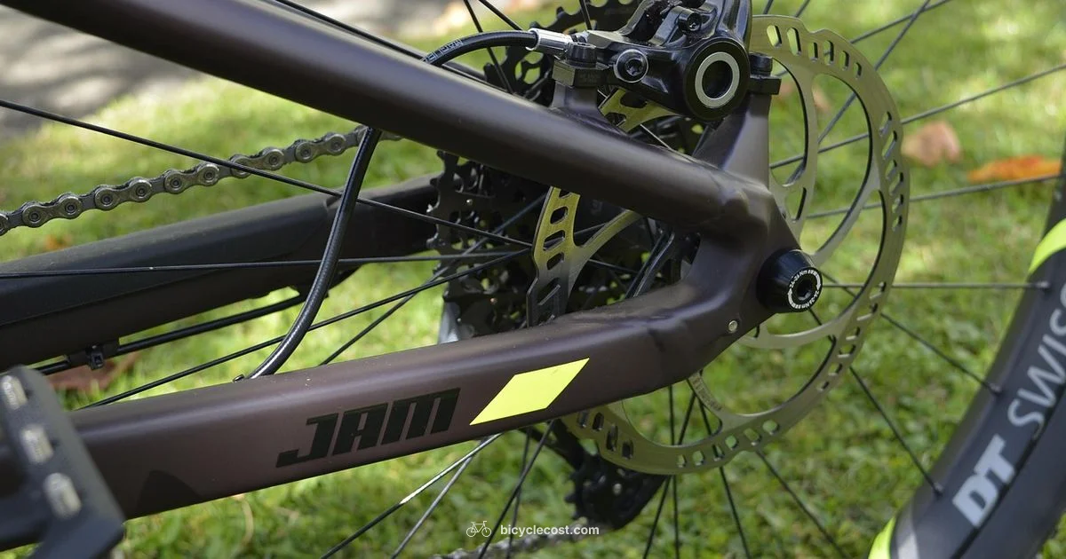 Disc Brake Cleaning - BicycleCost