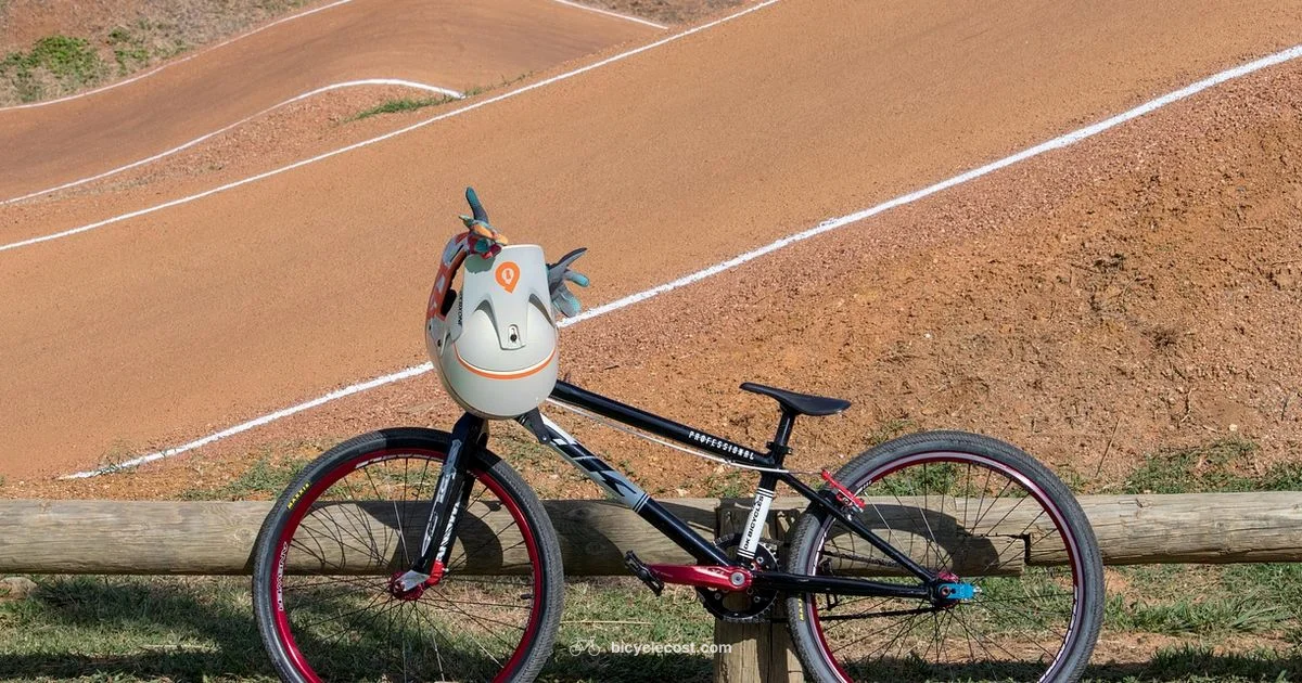 Sunday BMX Guide - BicycleCost