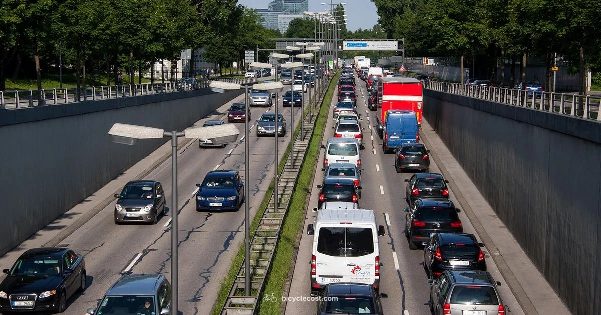 Bus Lane Rules - BicycleCost