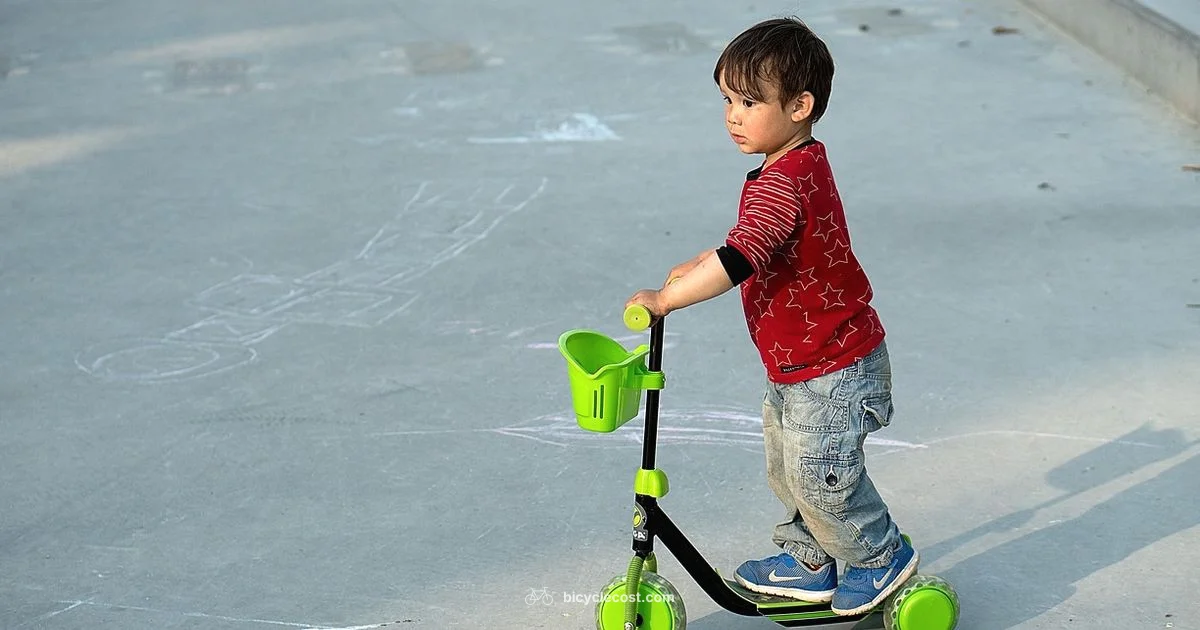 First Bike Joy - BicycleCost