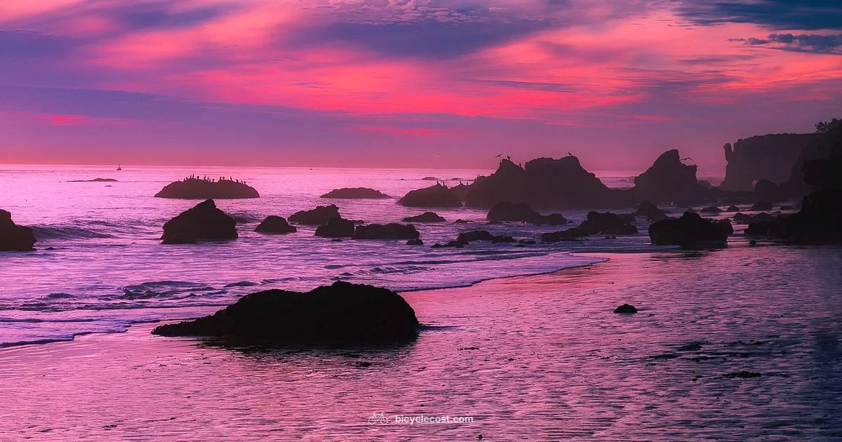 Coastal Bike Rentals - BicycleCost