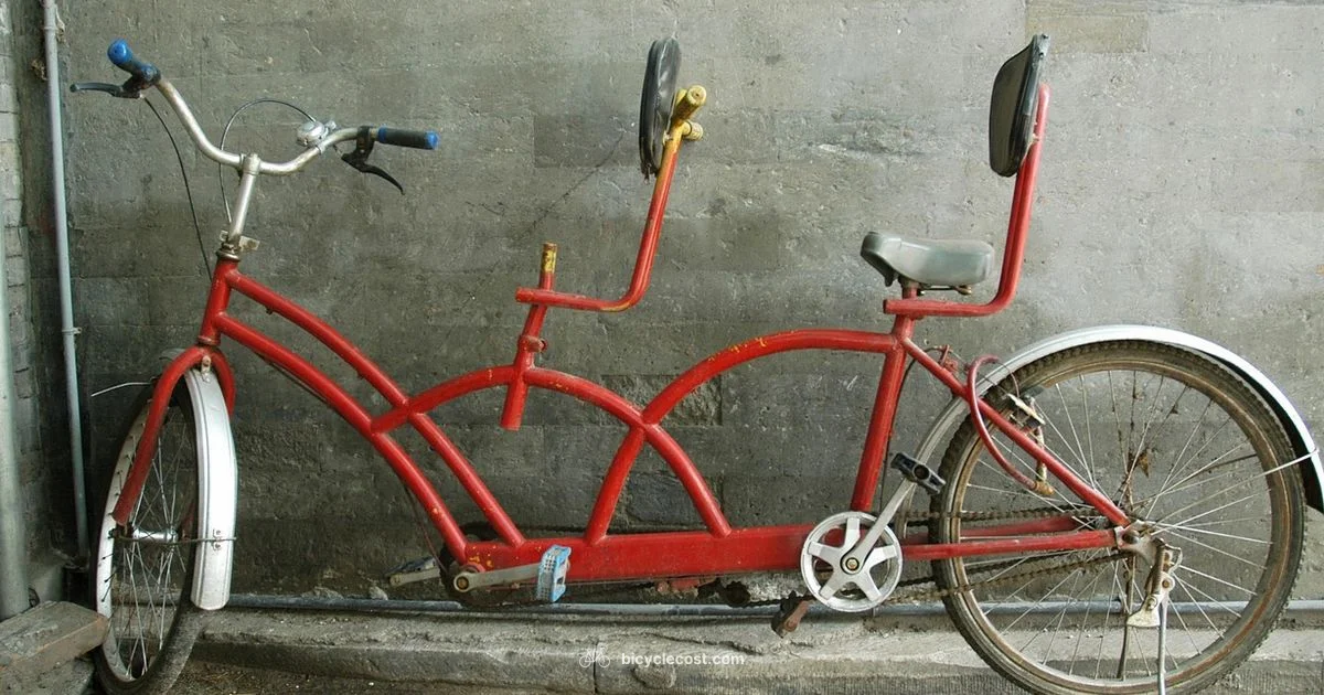 Tandem Riding Guide - BicycleCost