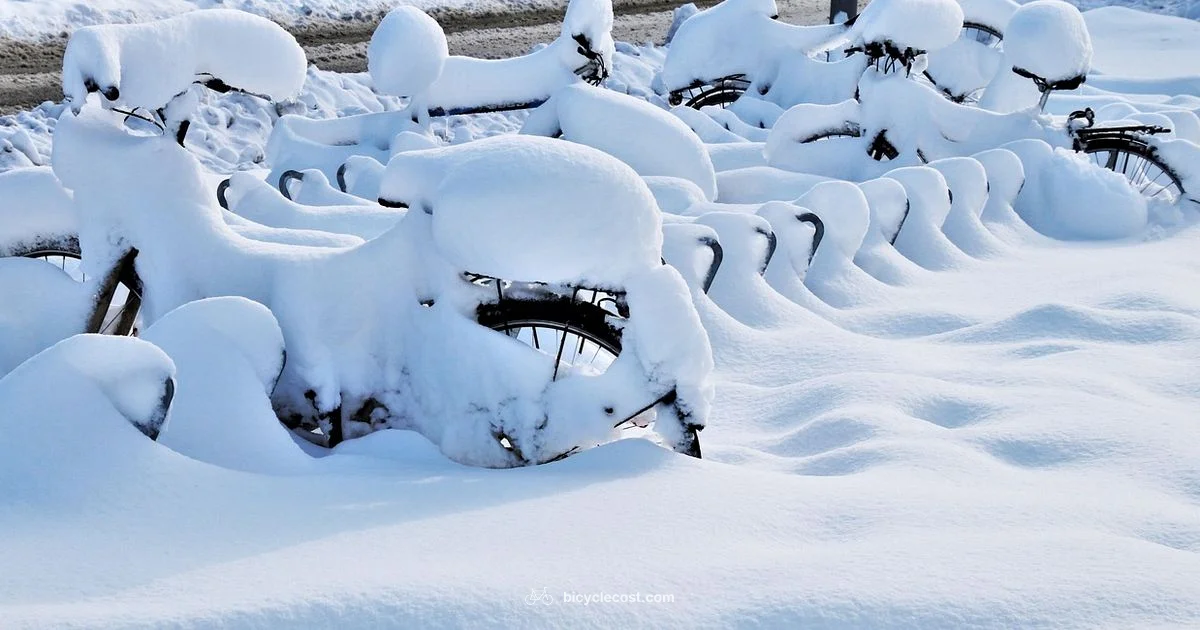 Ice Riding Guide - BicycleCost