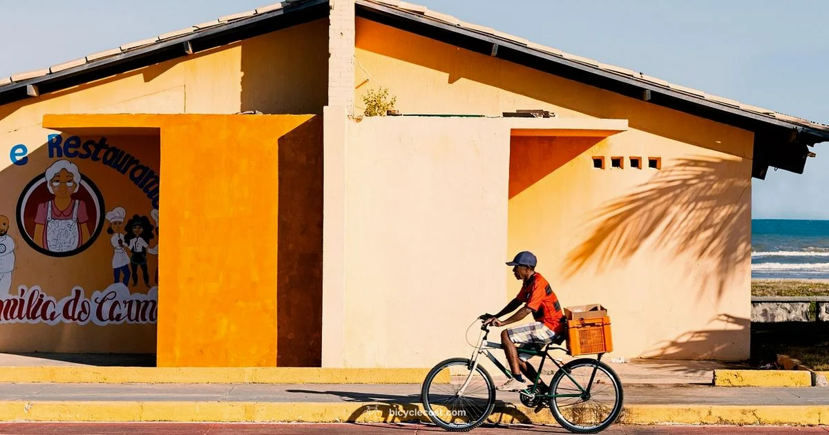 Bicycle in Italian - BicycleCost