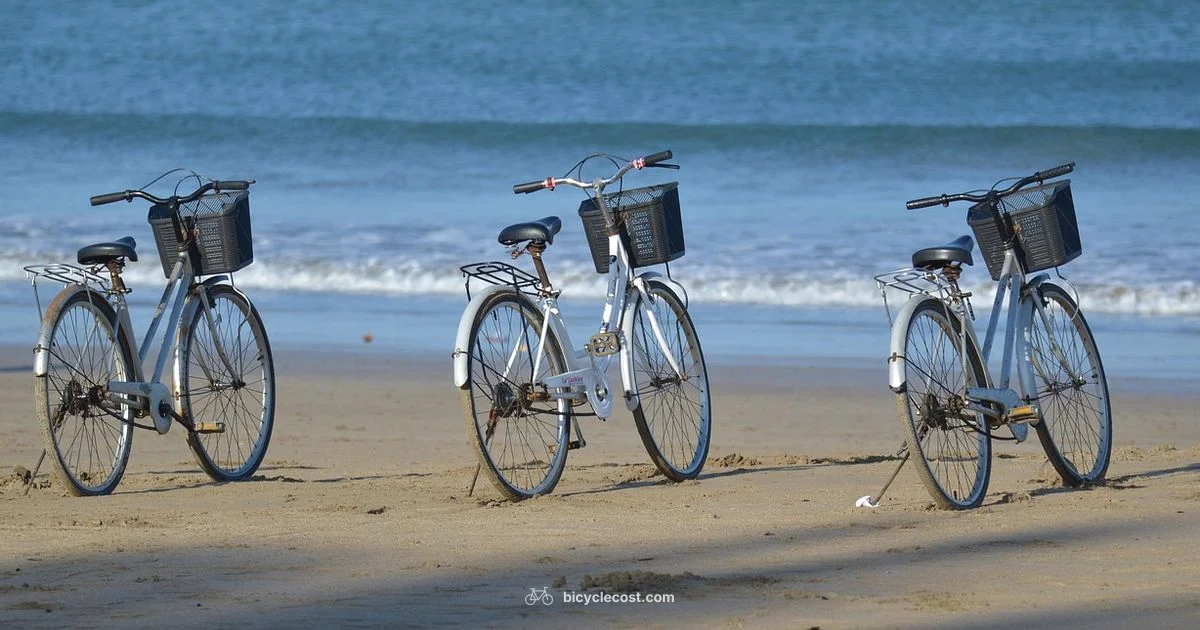 San Diego Rentals - BicycleCost