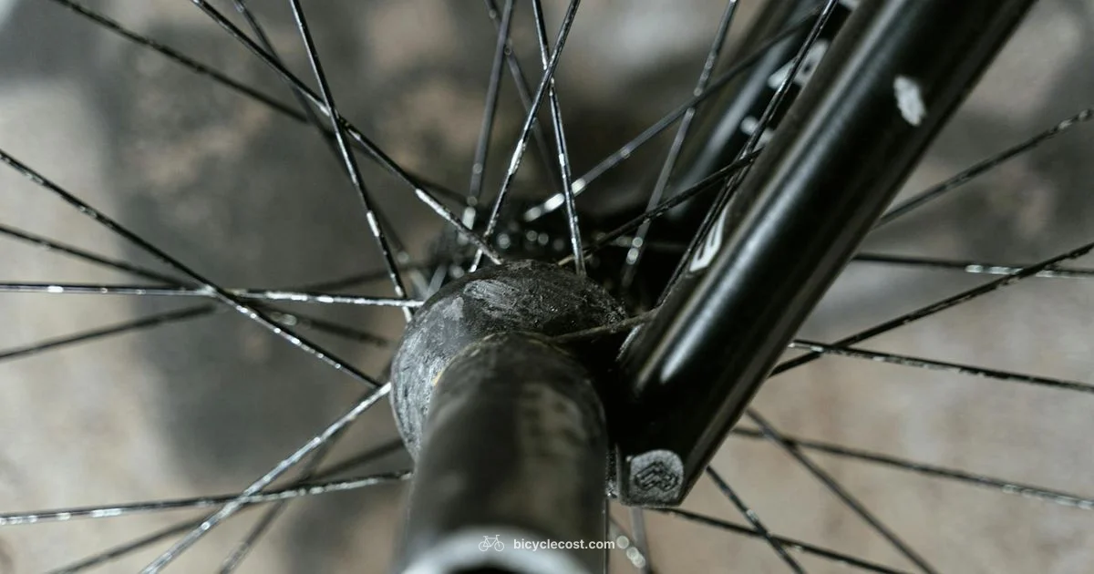 Stem Cap Guide - BicycleCost
