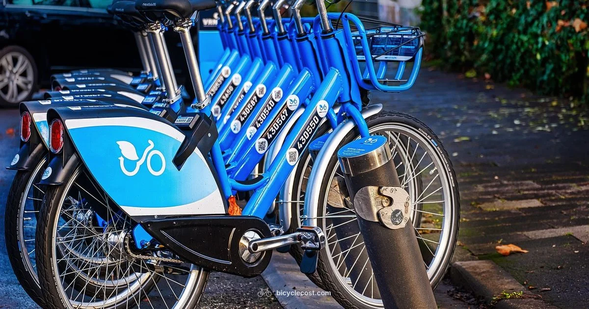 Bike Gym Guide - BicycleCost