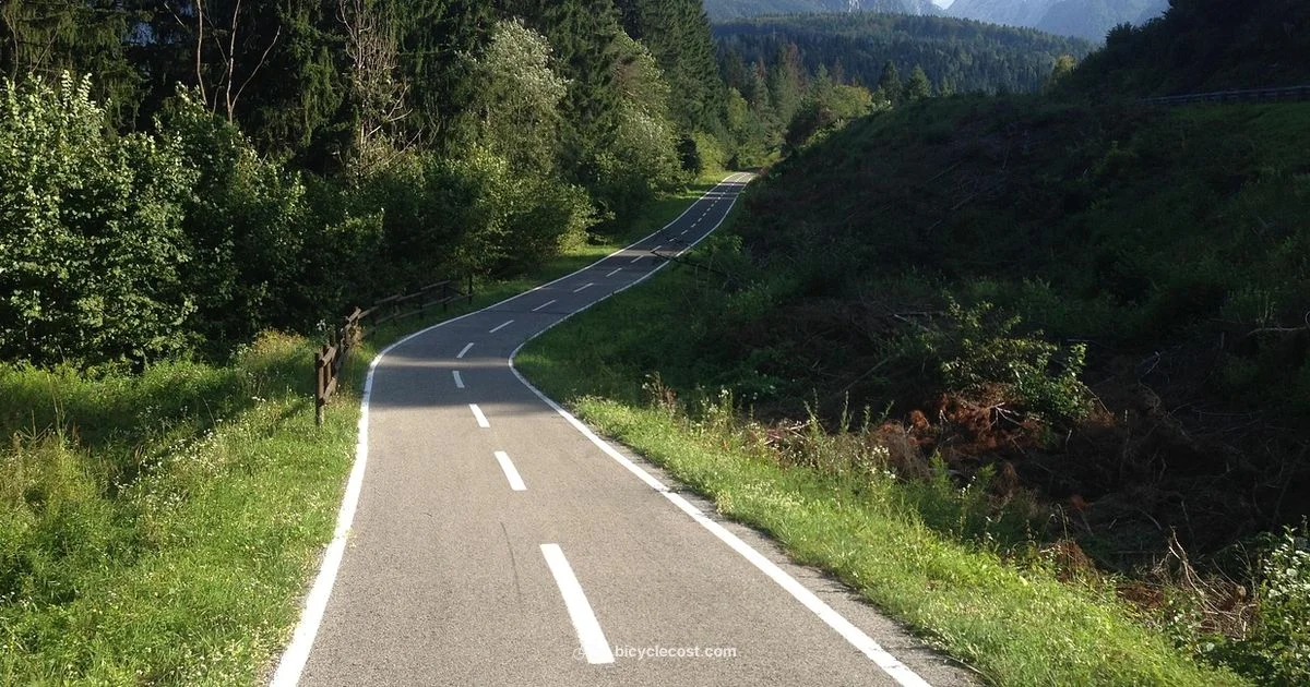 Quad Bicycle Guide - BicycleCost