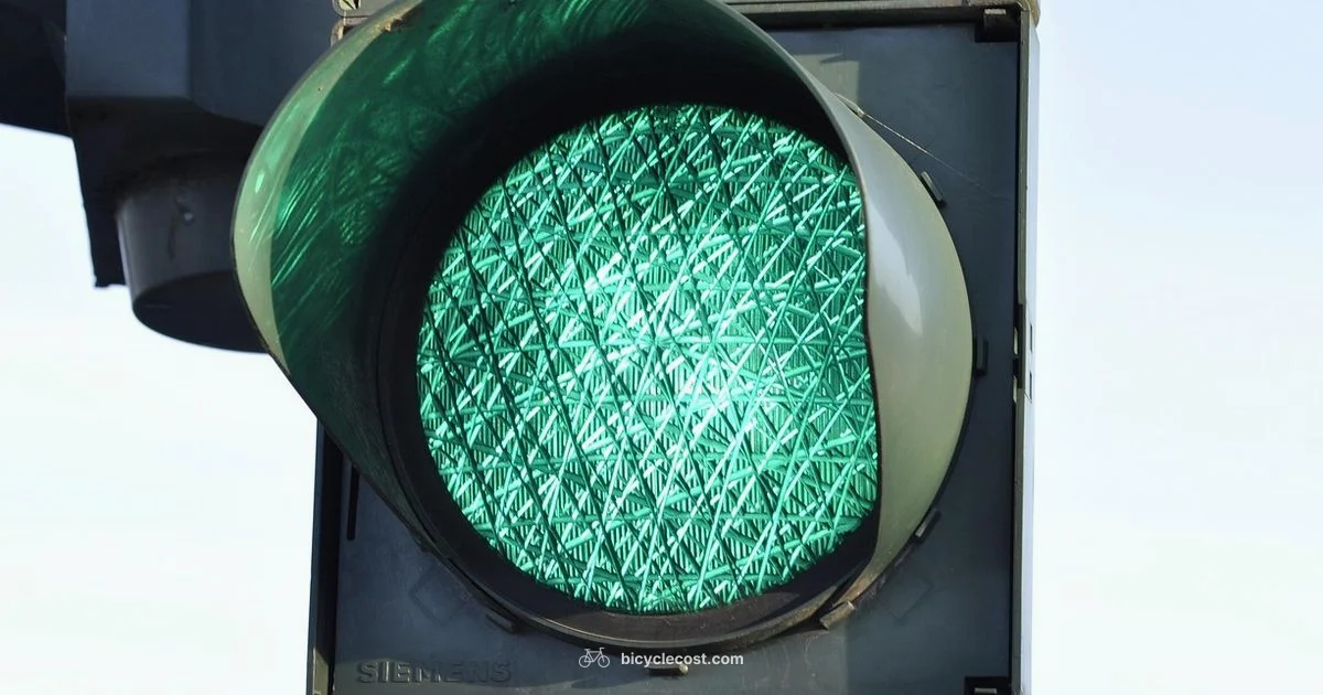 Turn Signals for Bikes - BicycleCost