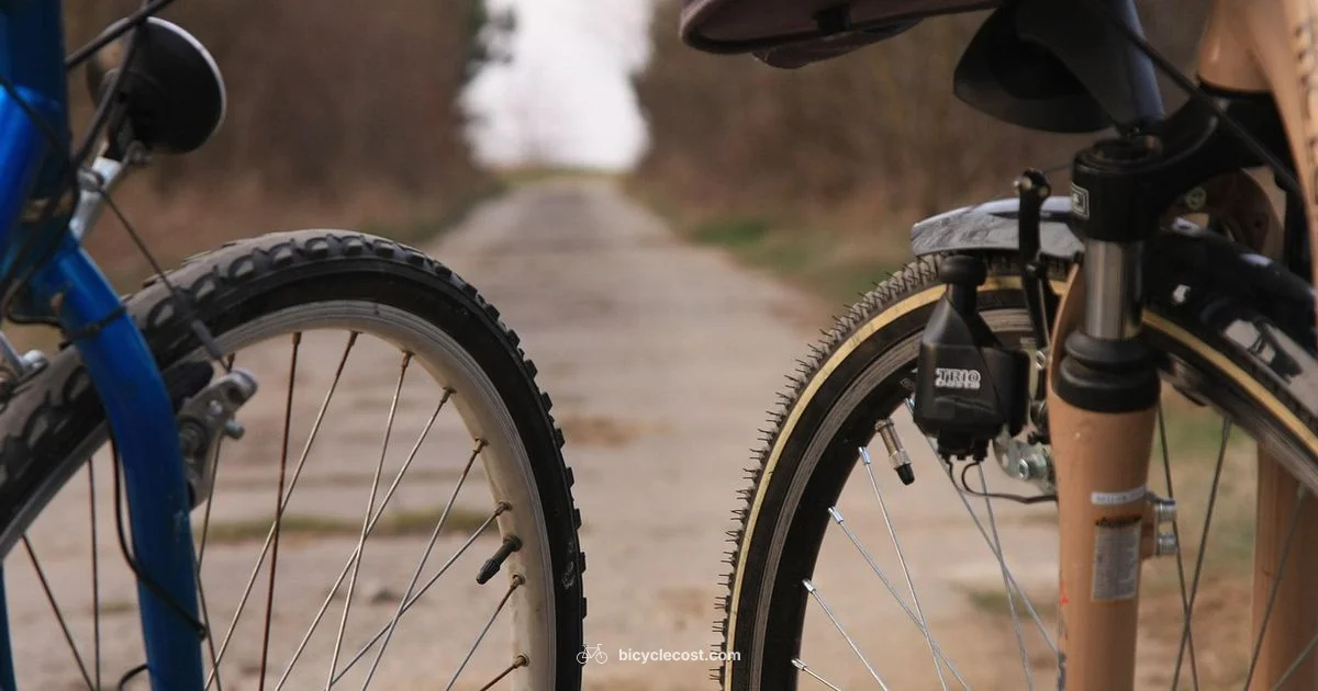 Smart Bike Buying Guide - BicycleCost