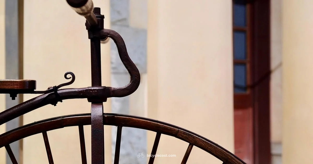 Bicycle History - BicycleCost