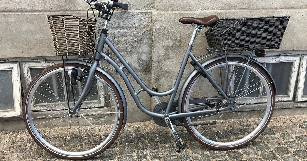 Best Bikes in India - BicycleCost