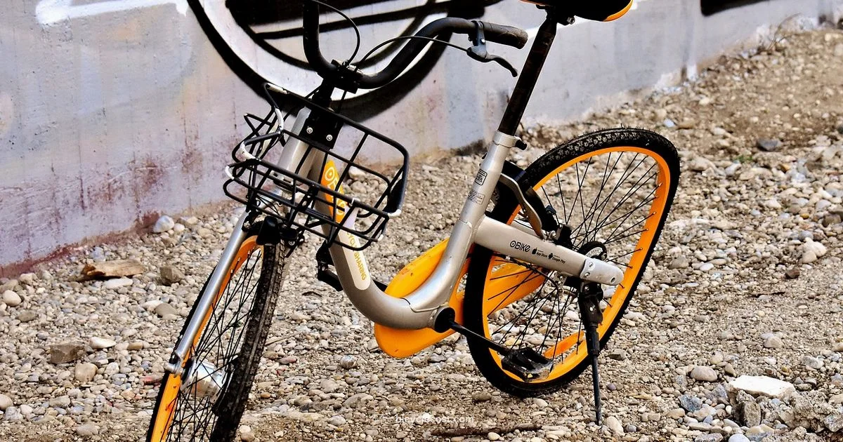 Rent a Bike Easily Rent a Bike Easily - BicycleCost
