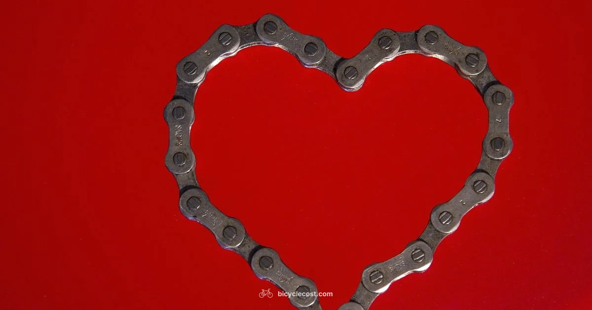 Bicycle Chain Essentials - BicycleCost