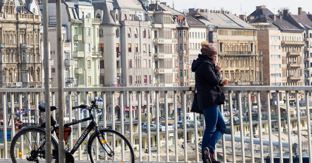 Renew Bike RC - BicycleCost