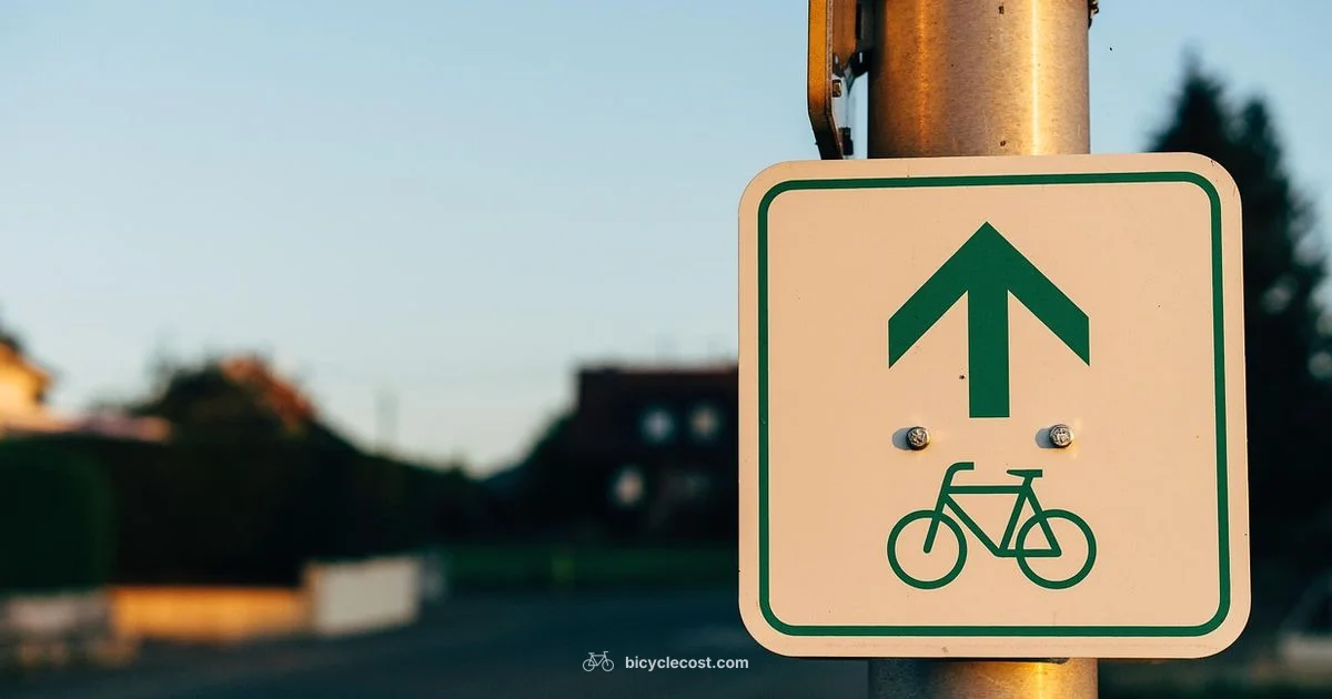 Bicycle Accident Law - BicycleCost