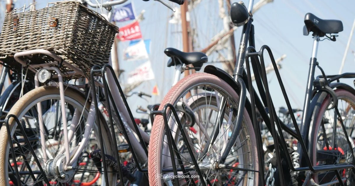 Dry Bike Storage - BicycleCost