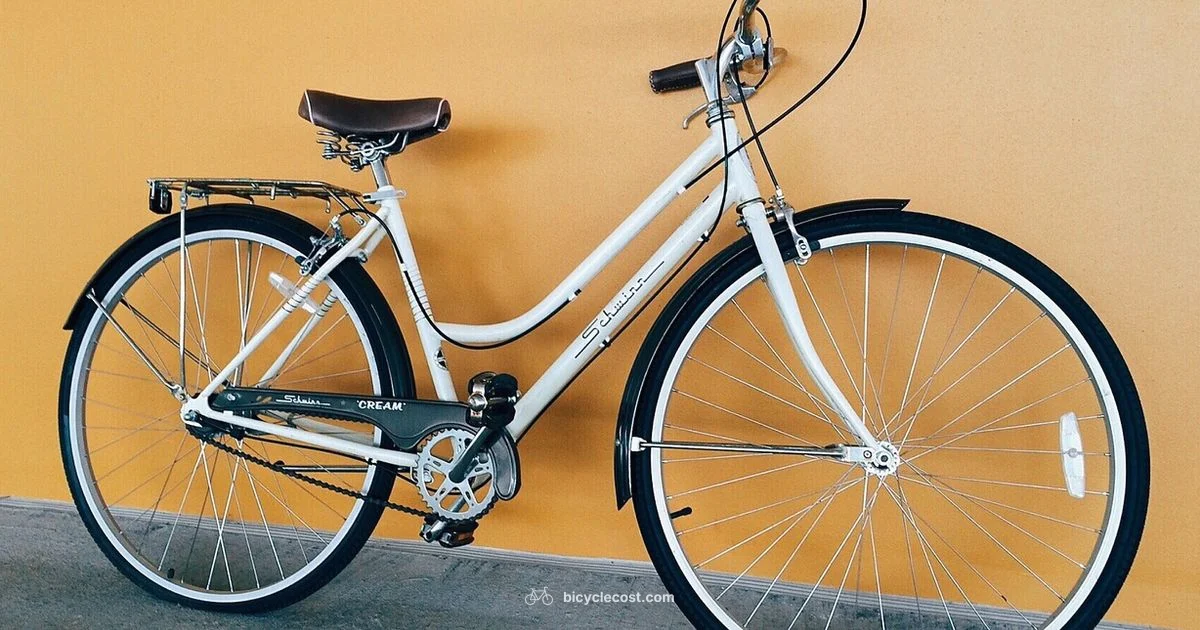 Lubrication Basics - BicycleCost