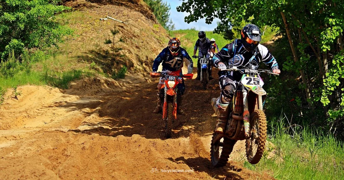 Sports Bike Guide - BicycleCost