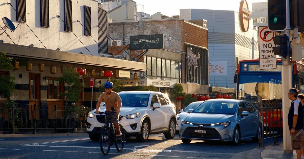 Accident Scene - BicycleCost