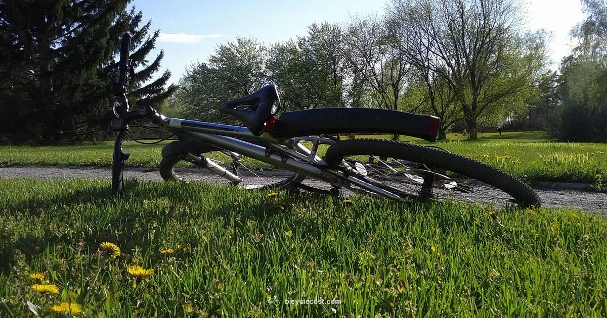 Bike Cover Basics - BicycleCost