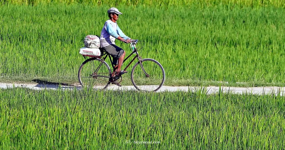 Arthritic Knee Cycling - BicycleCost