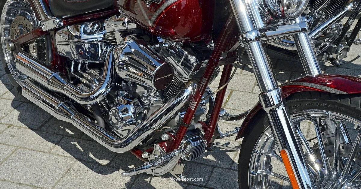 Harley Cruiser Guide - BicycleCost