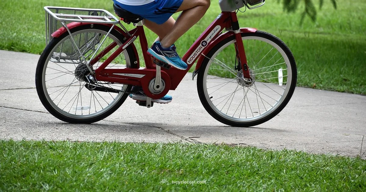 Bus Lane Riding - BicycleCost
