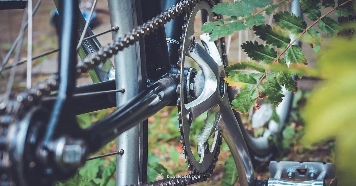 Chain Lubrication 101 - BicycleCost