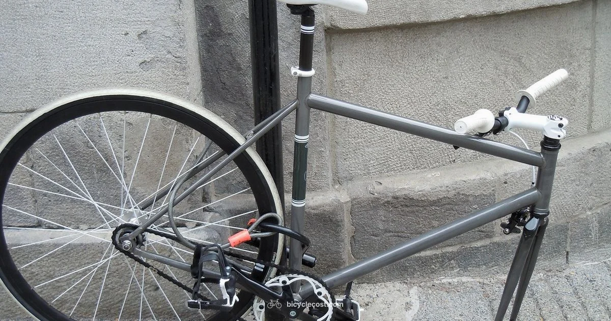 Bike Number Guide - BicycleCost