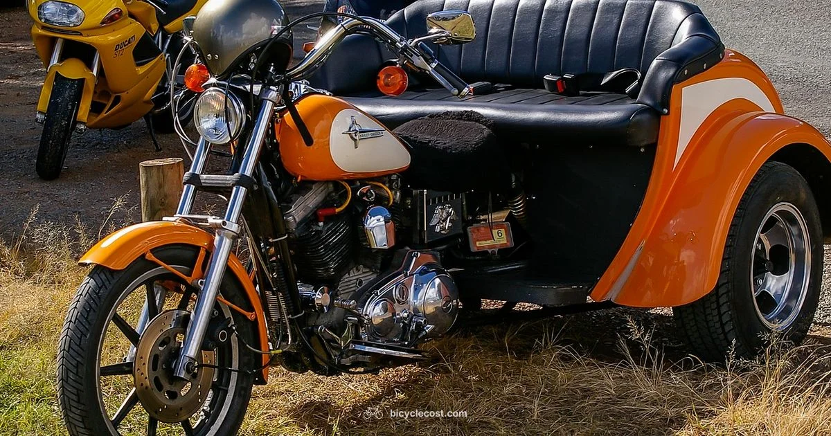 Three Wheel Bike - BicycleCost