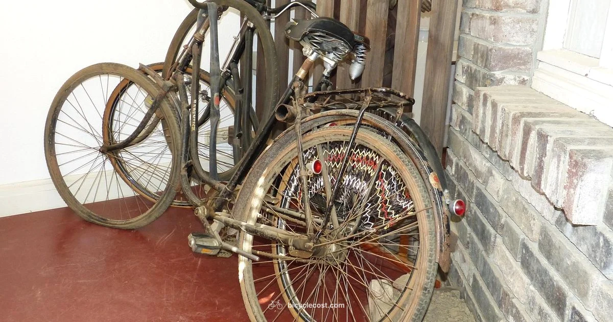 Bicycle Evolution - BicycleCost