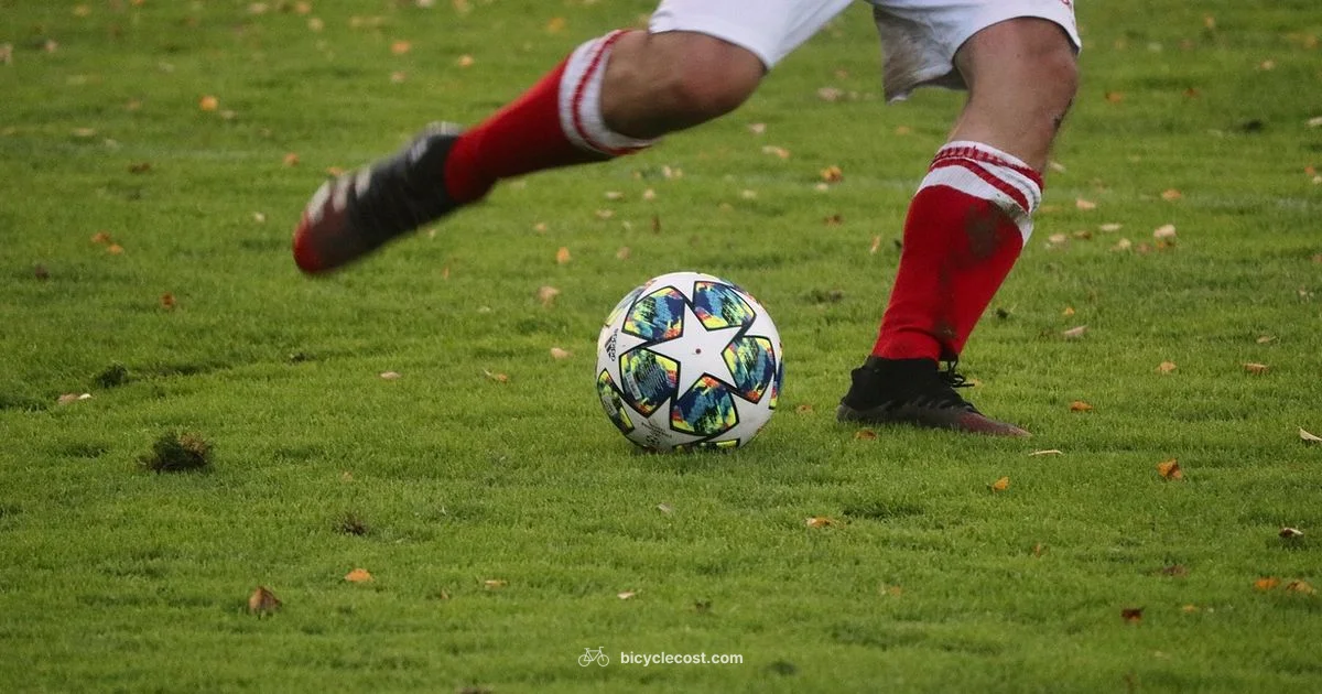 Bicycle Kick Essentials - BicycleCost