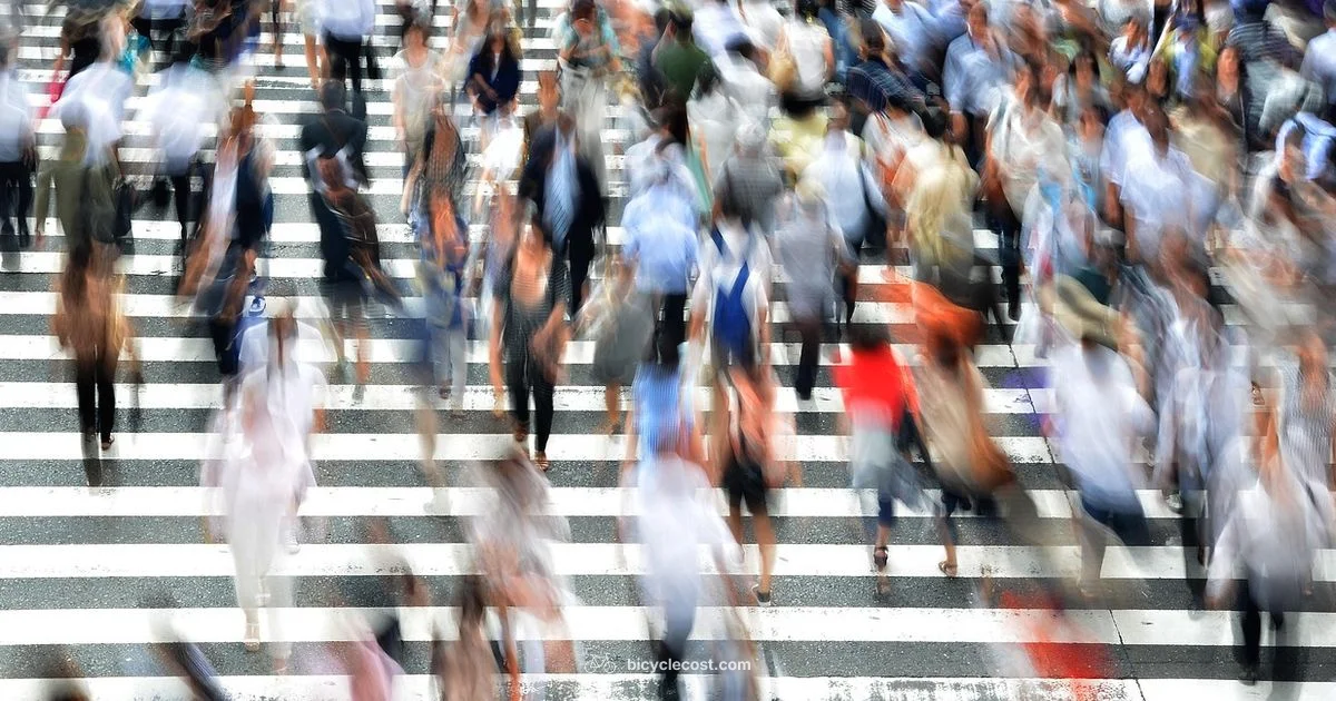 Two-Wheeler Risk - BicycleCost